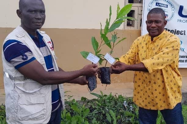 Cáritas Freetown promueve campaña de plantación de árboles 