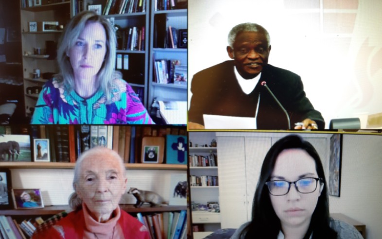 The Road to Cop15: A Laudato Si’ inspired Biodiversity Webinar