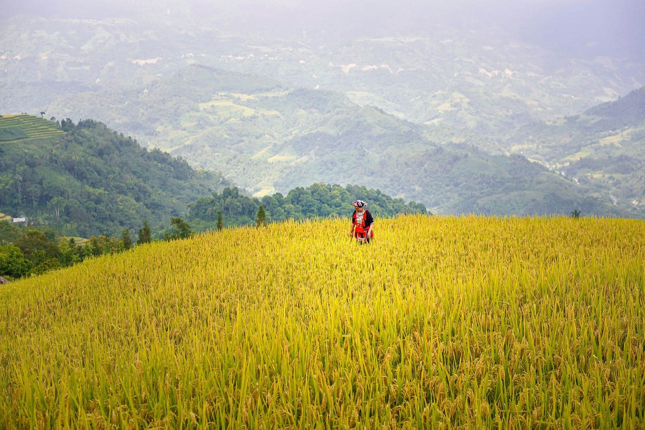 Season of Creation, an ecumenical initiative promoting integral ecology