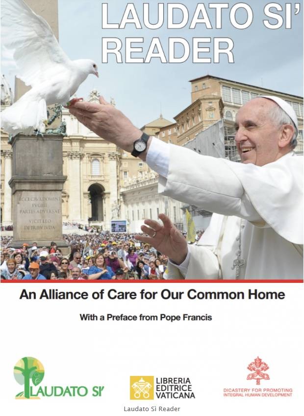 « Lecture Laudato si' — Une alliance de soin pour notre maison commune »